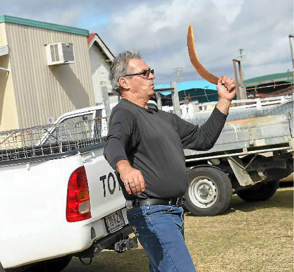 BARGAIN OF THE WEEK: Shayne was happy to pick up a job lot of boomerangs for $50. BARGAIN OF THE WEEK: Shayne was happy to pick up a job lot of boomerangs for $50.